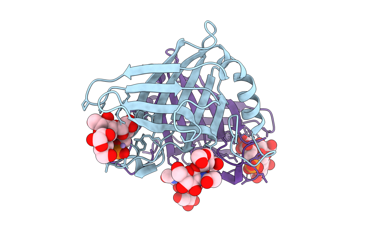 1C39 image