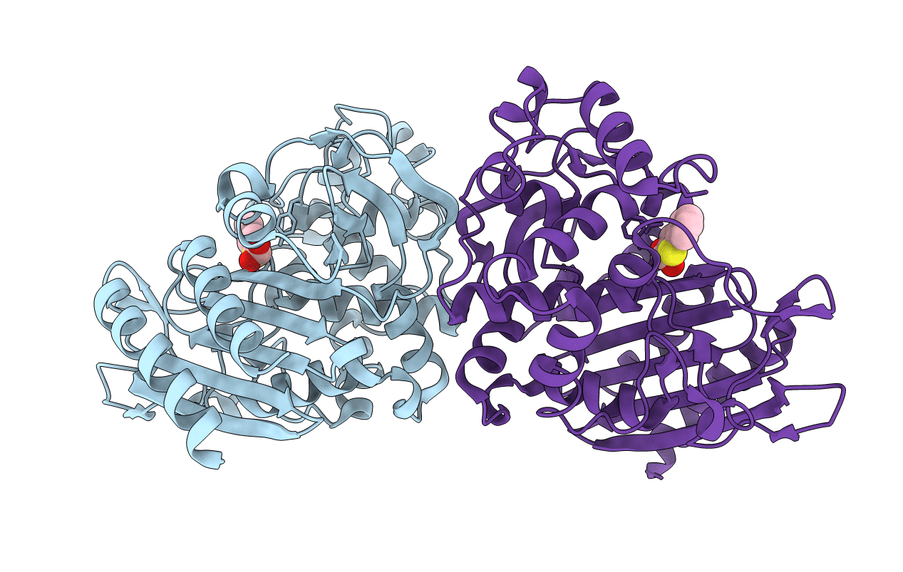 1C3B image