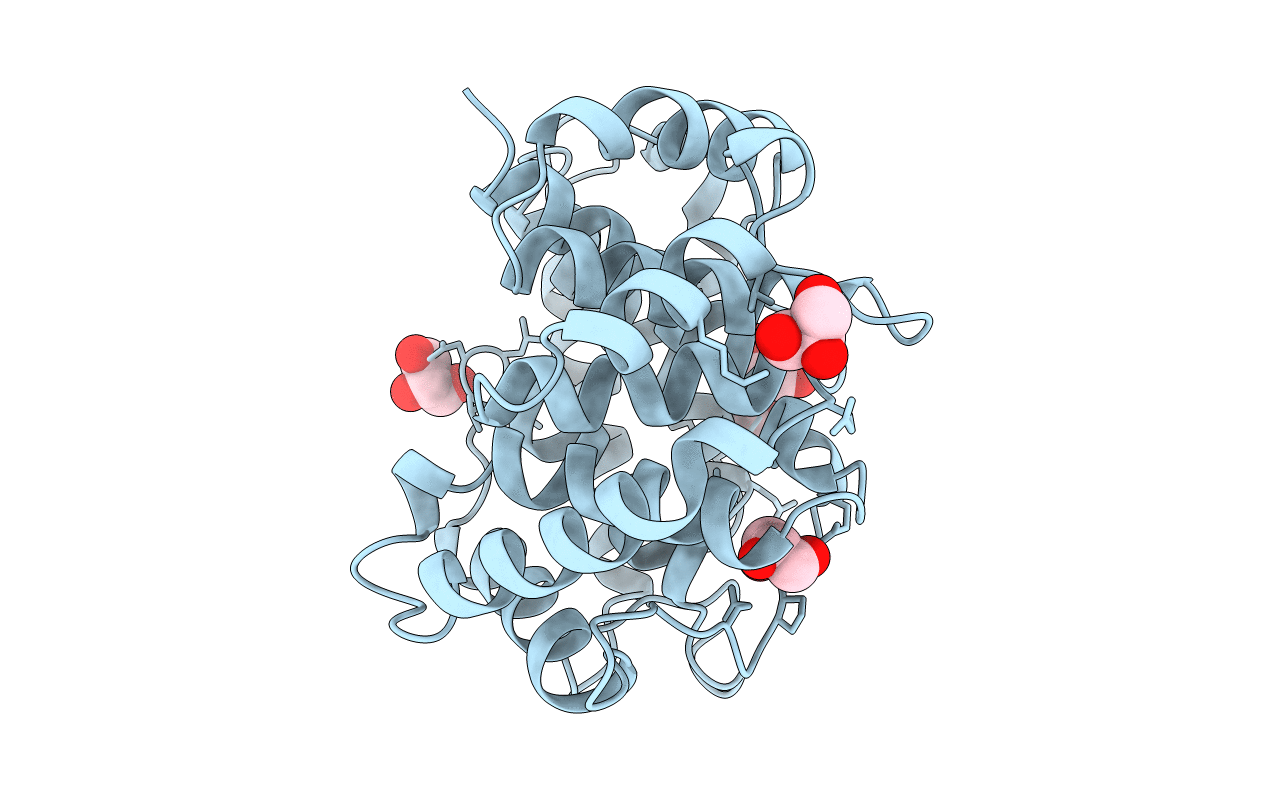 1C3D image