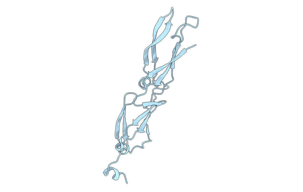 1C3G image
