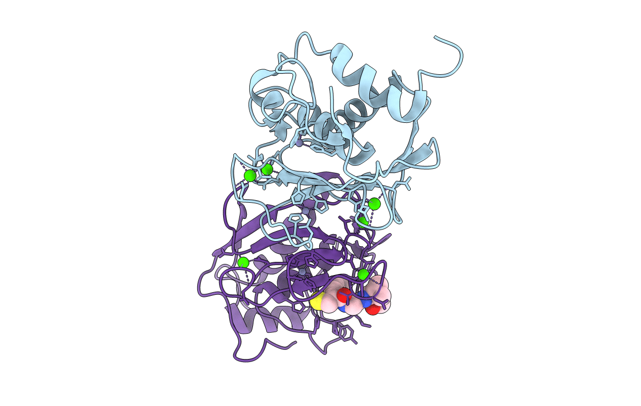 1C3I image