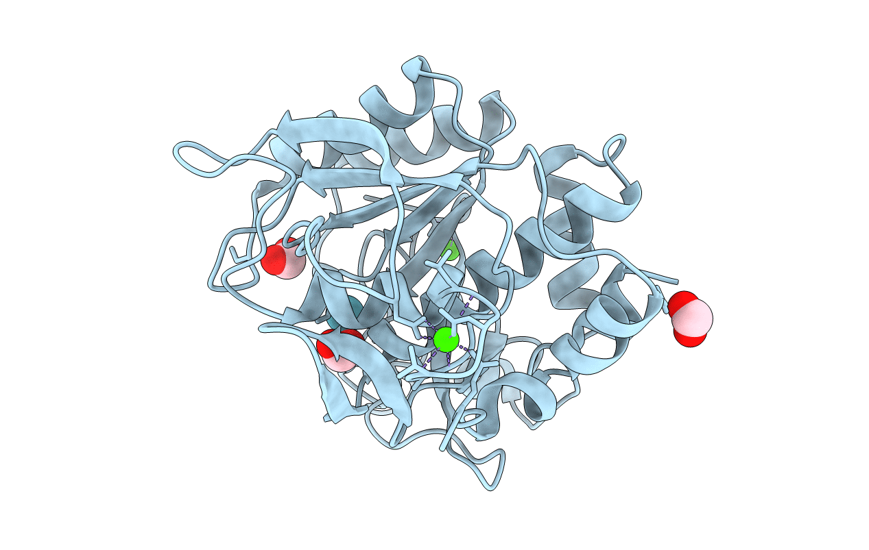 1C3L image