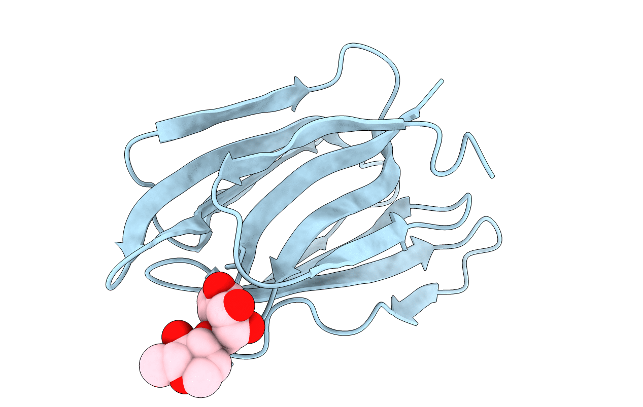 1C3M image