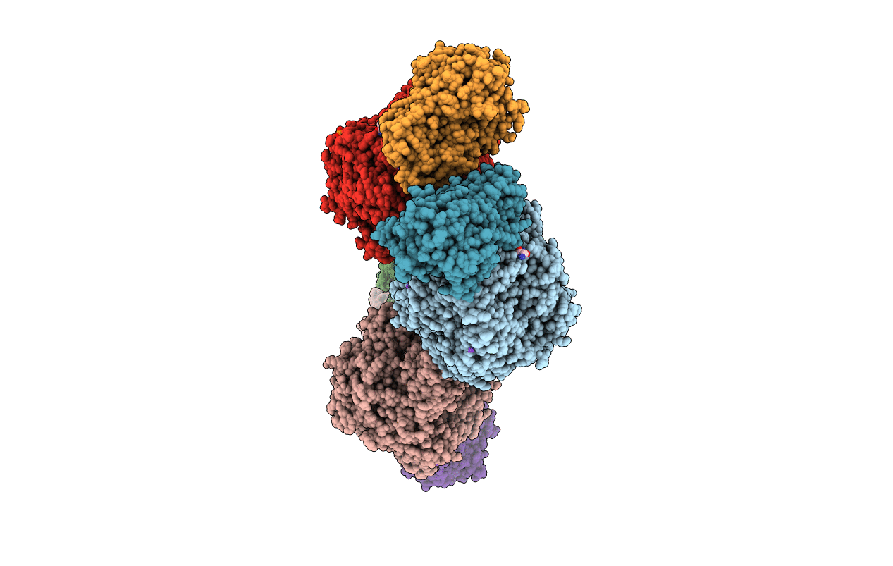 1C3O image