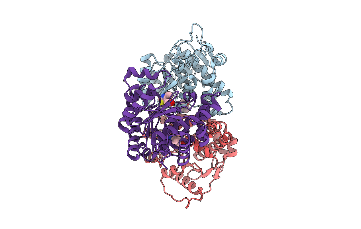 1C3Q image