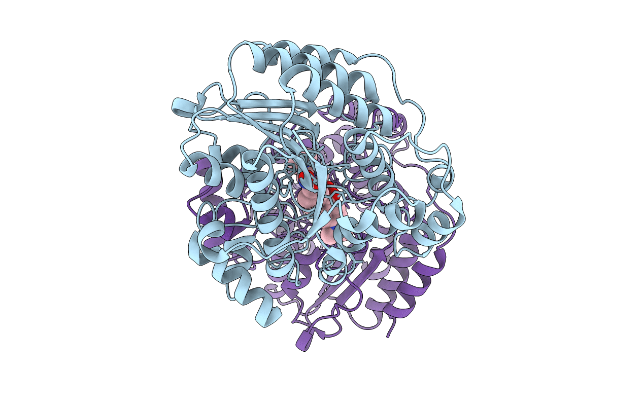 1C3R image