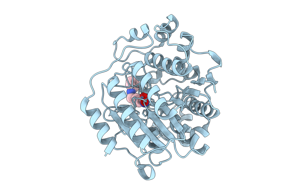 1C3S image