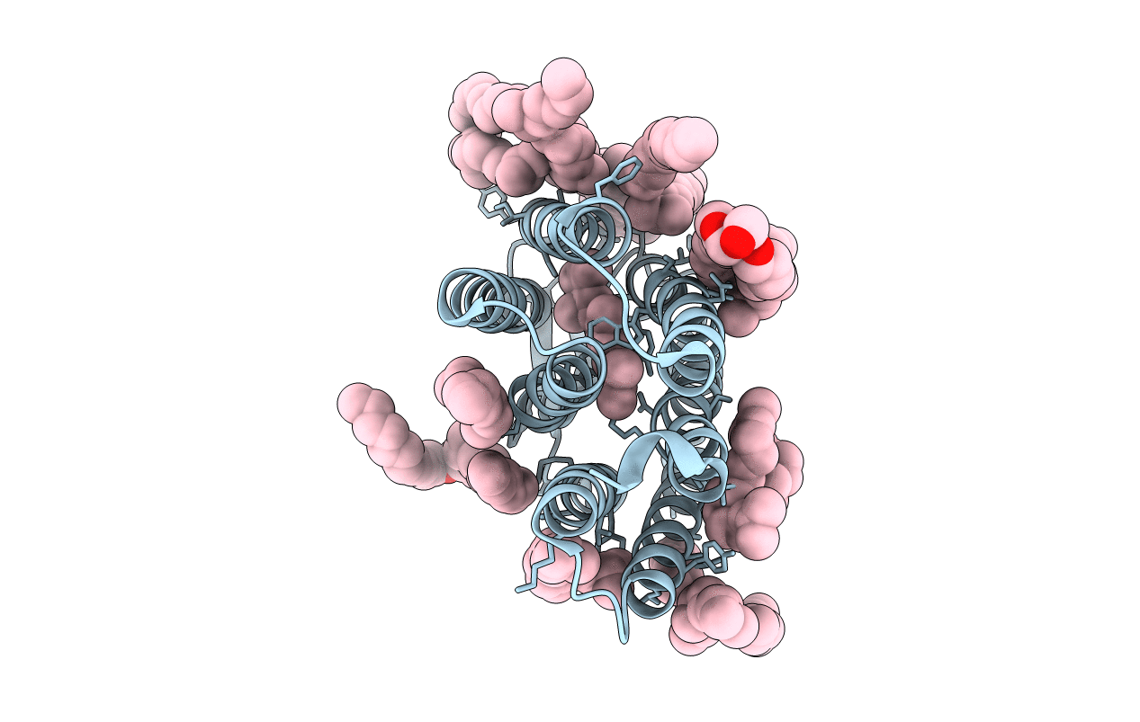 1C3W image