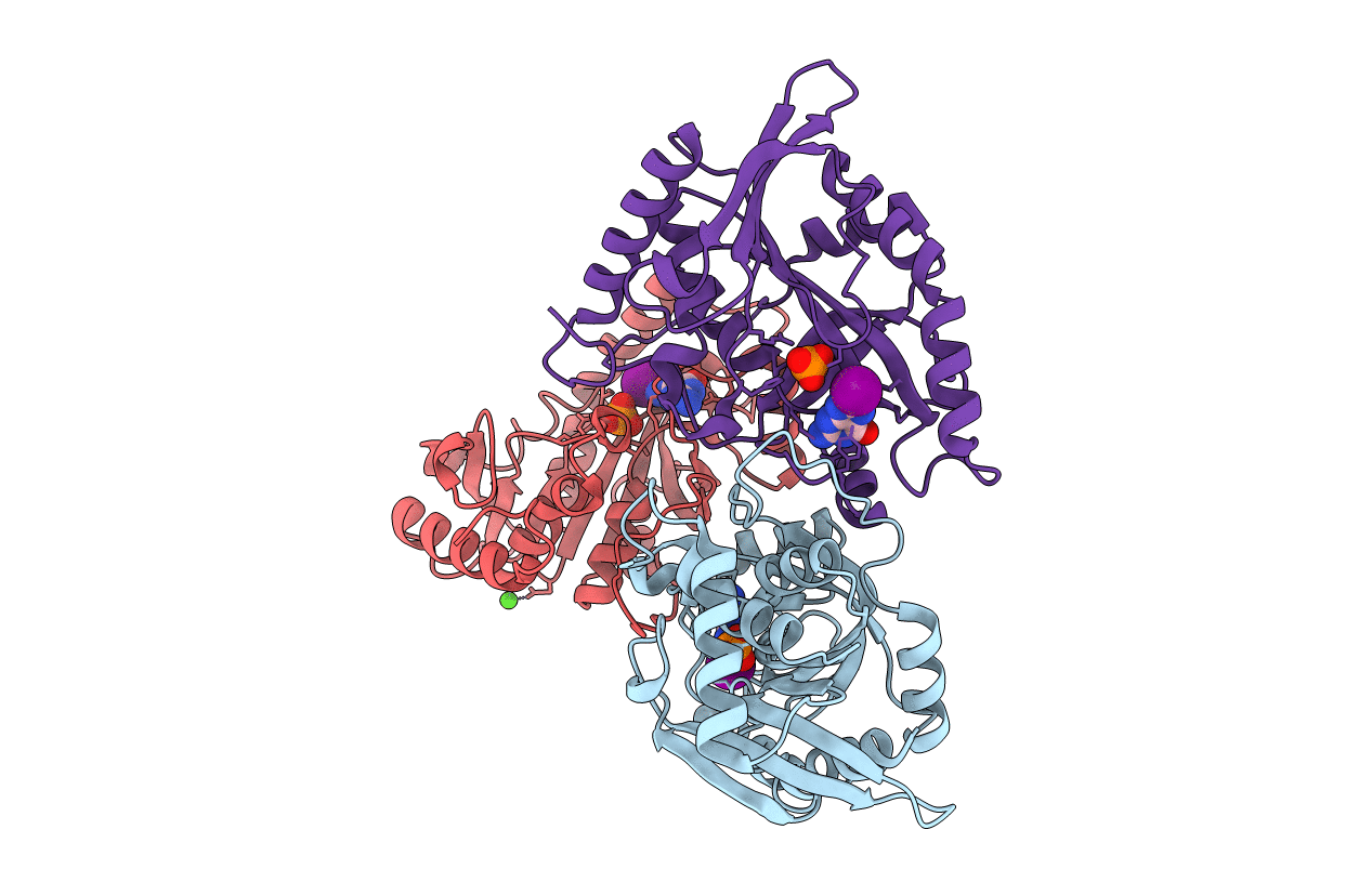 1C3X image