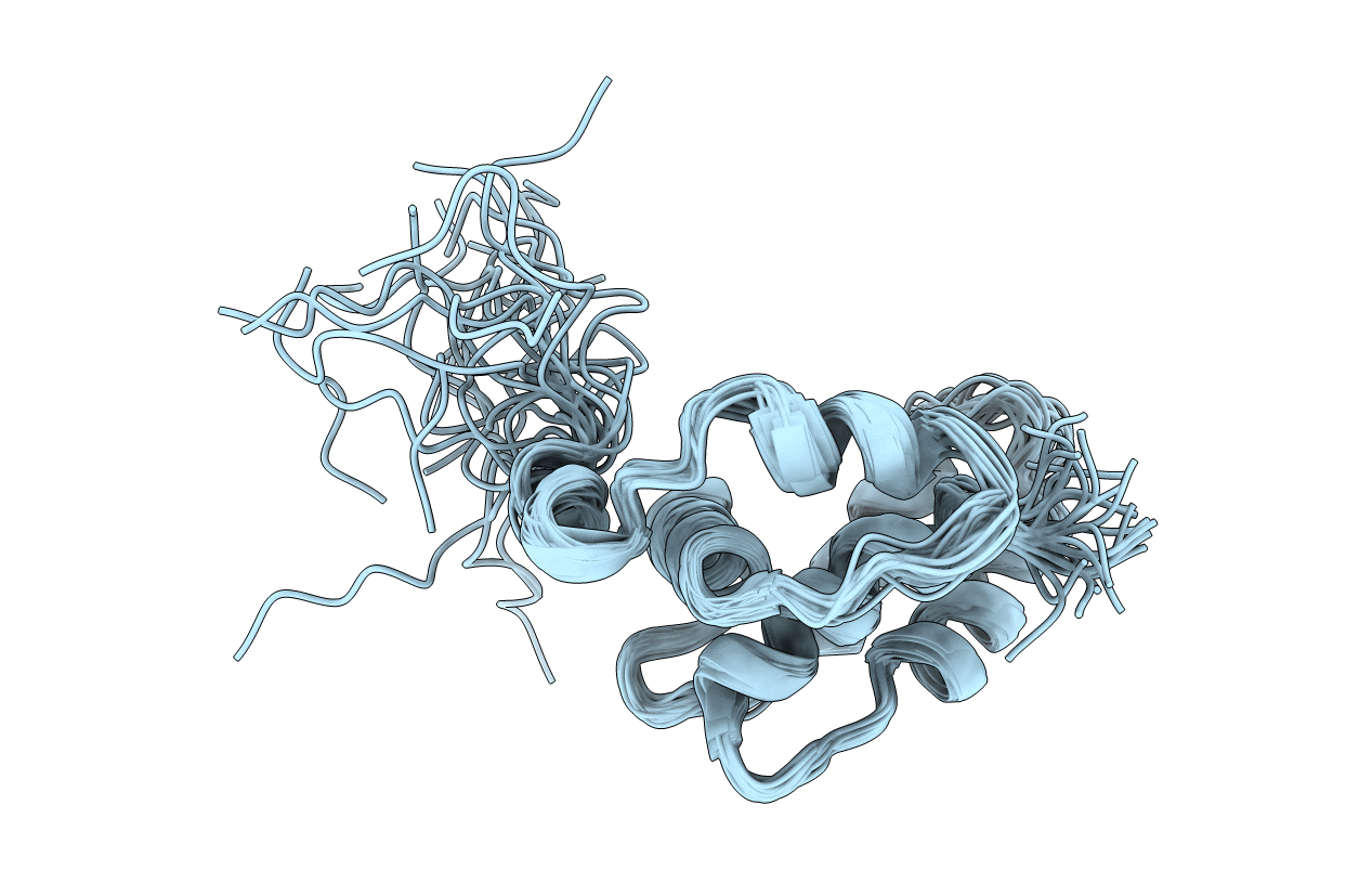 1C3Y image