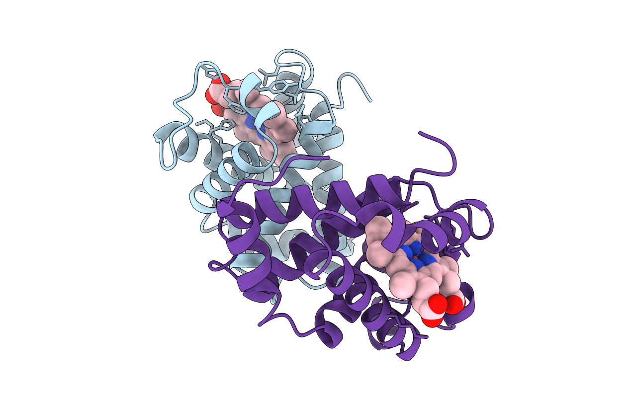 1C40 image