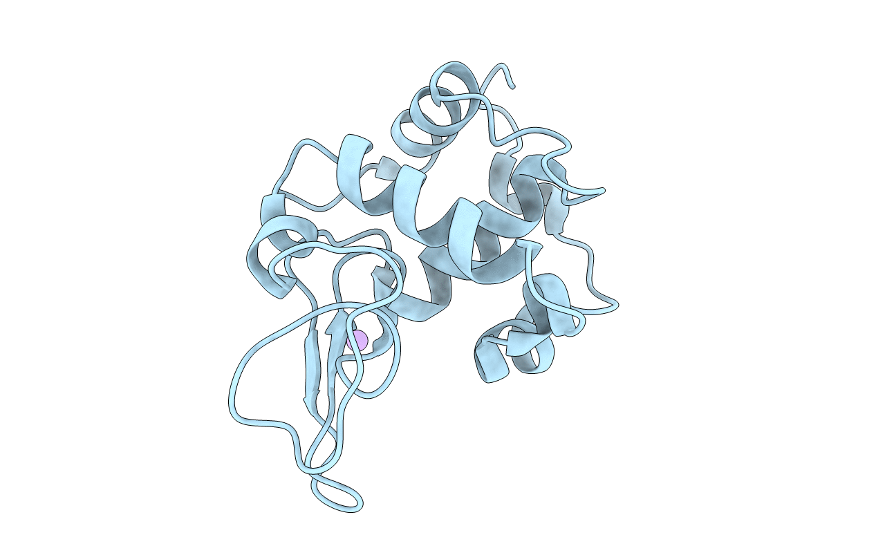1C43 image
