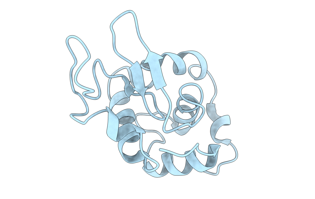 1C46 image