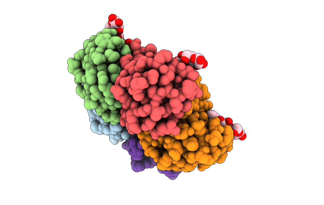 1C4Q image