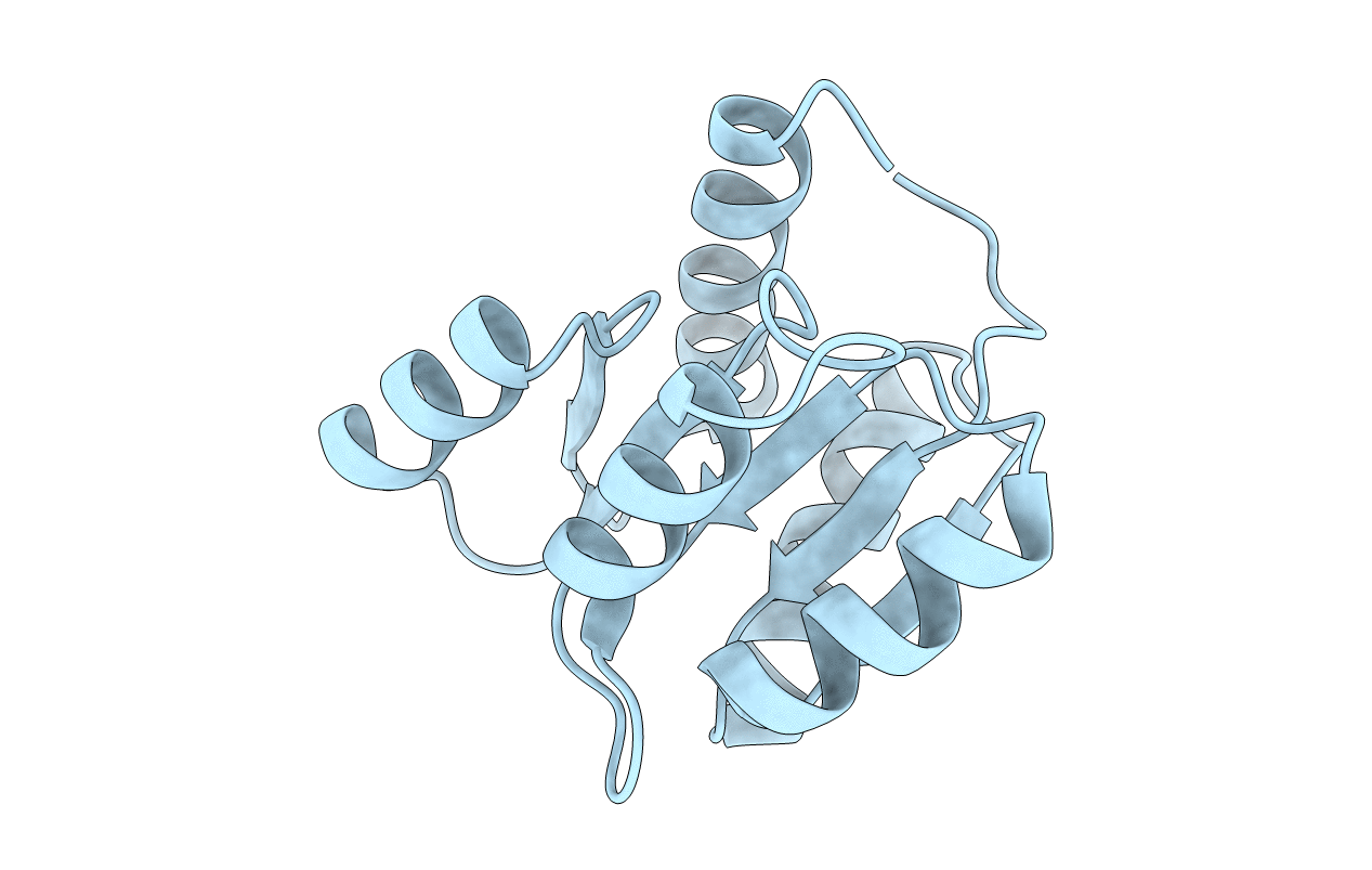 1C4W image