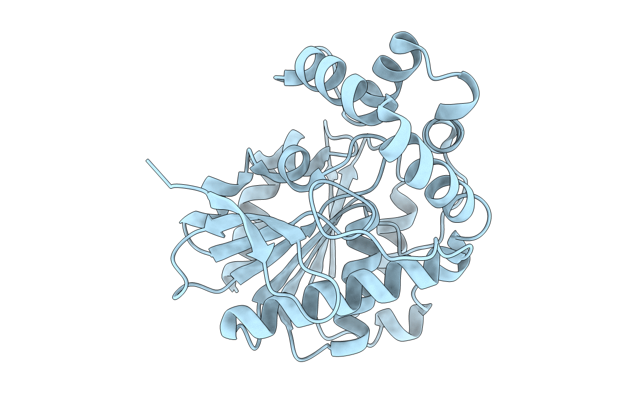 1C4X image