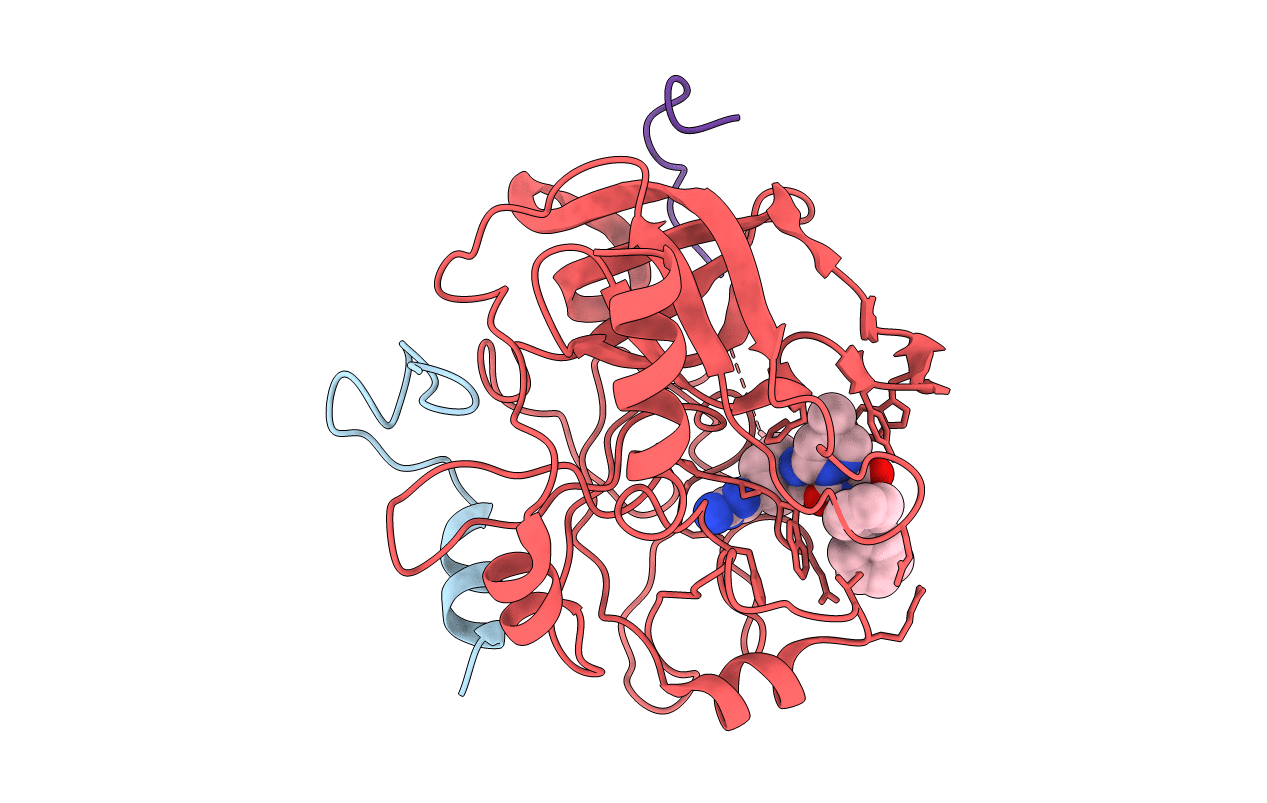 1C4Y image