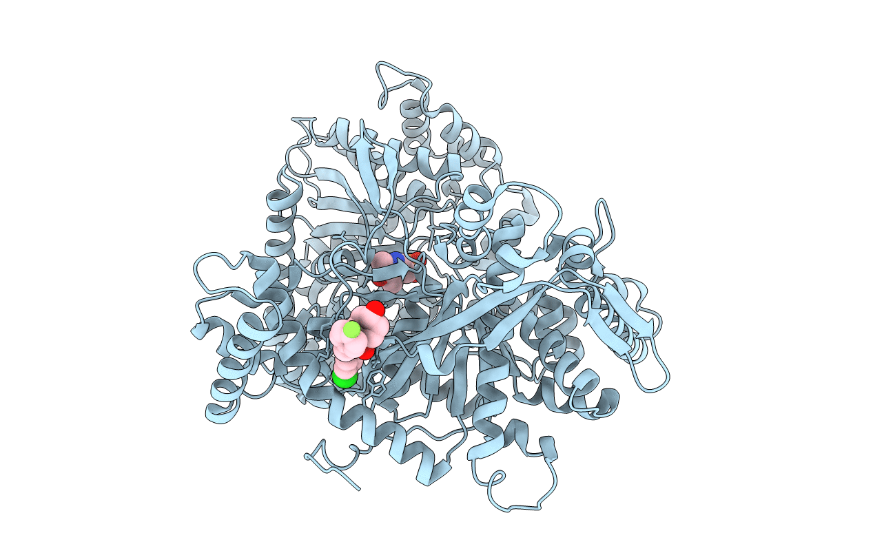 1C50 image