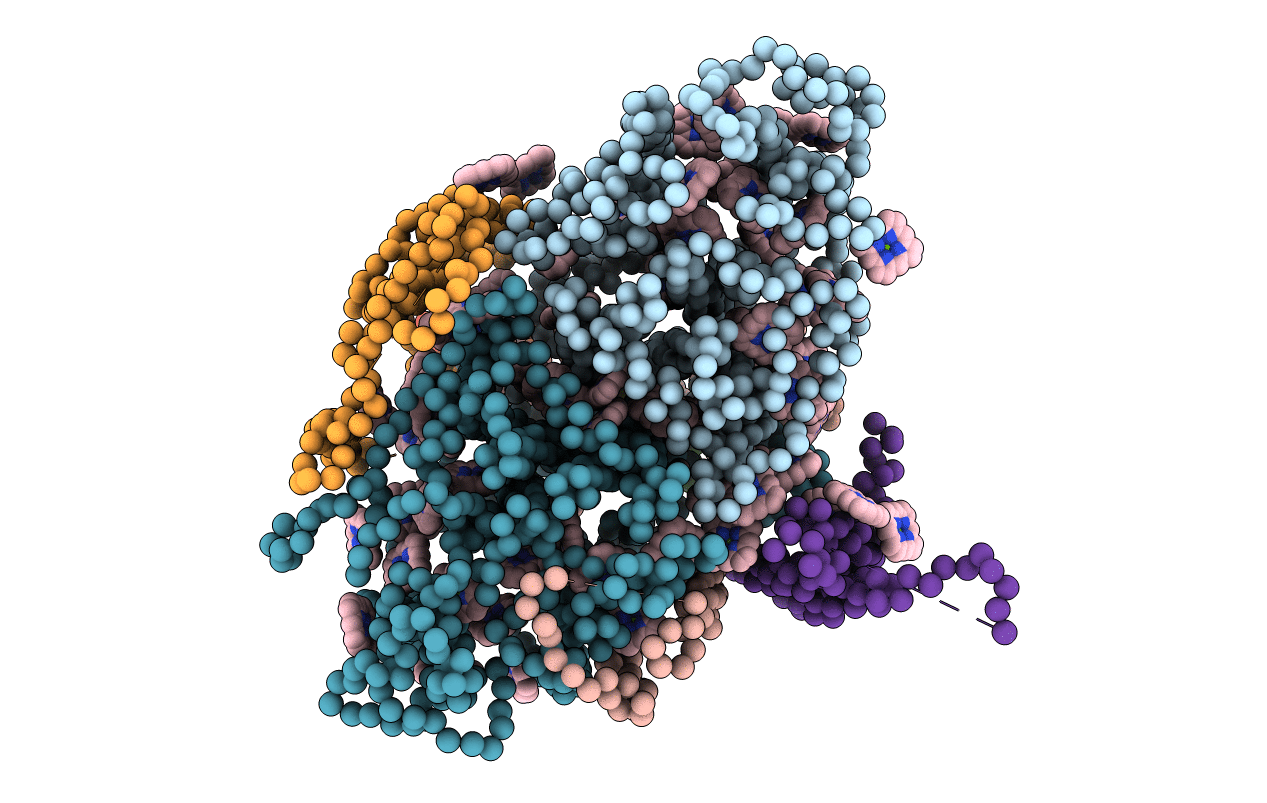 1C51 image