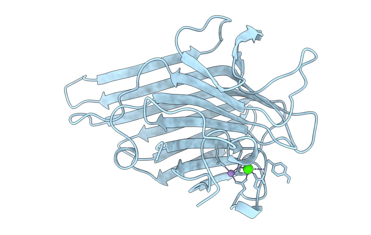 1C57 image