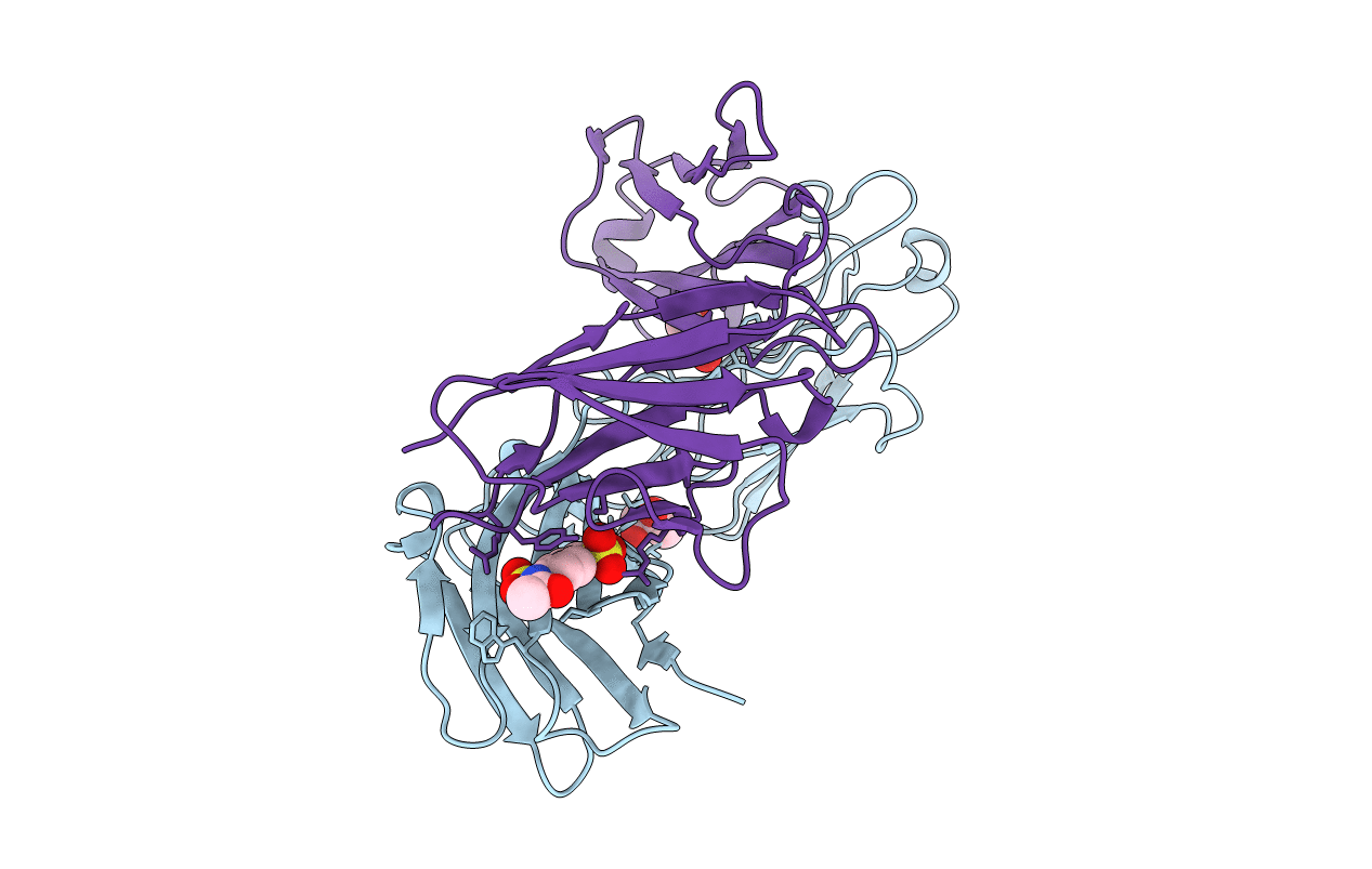 1C5C image