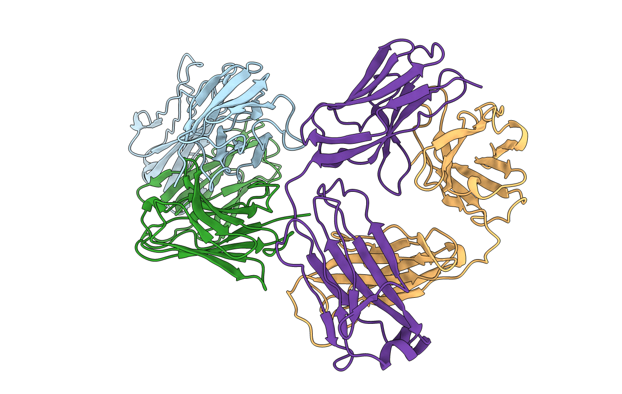 1C5D image