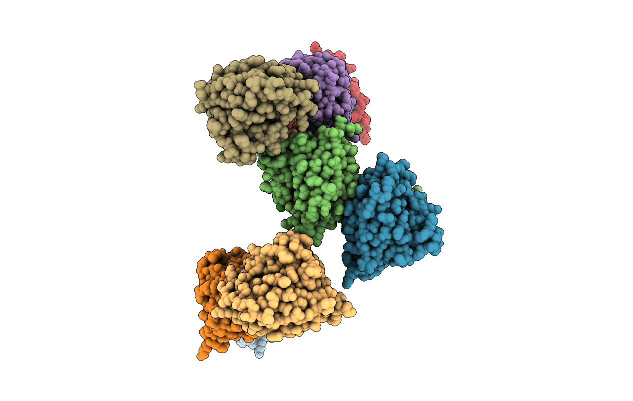 1C5F image