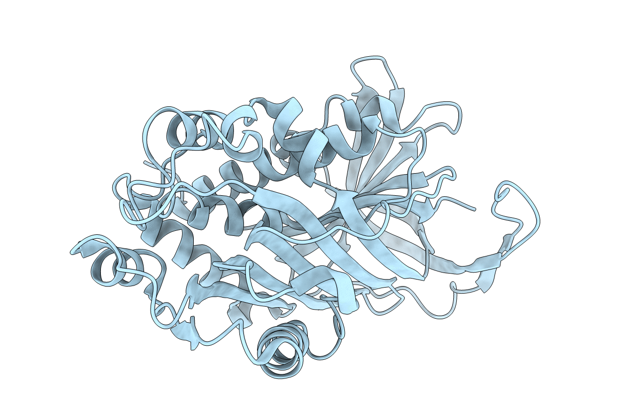 1C5G image