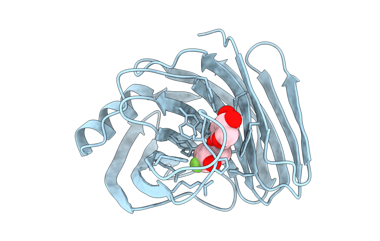 1C5I image