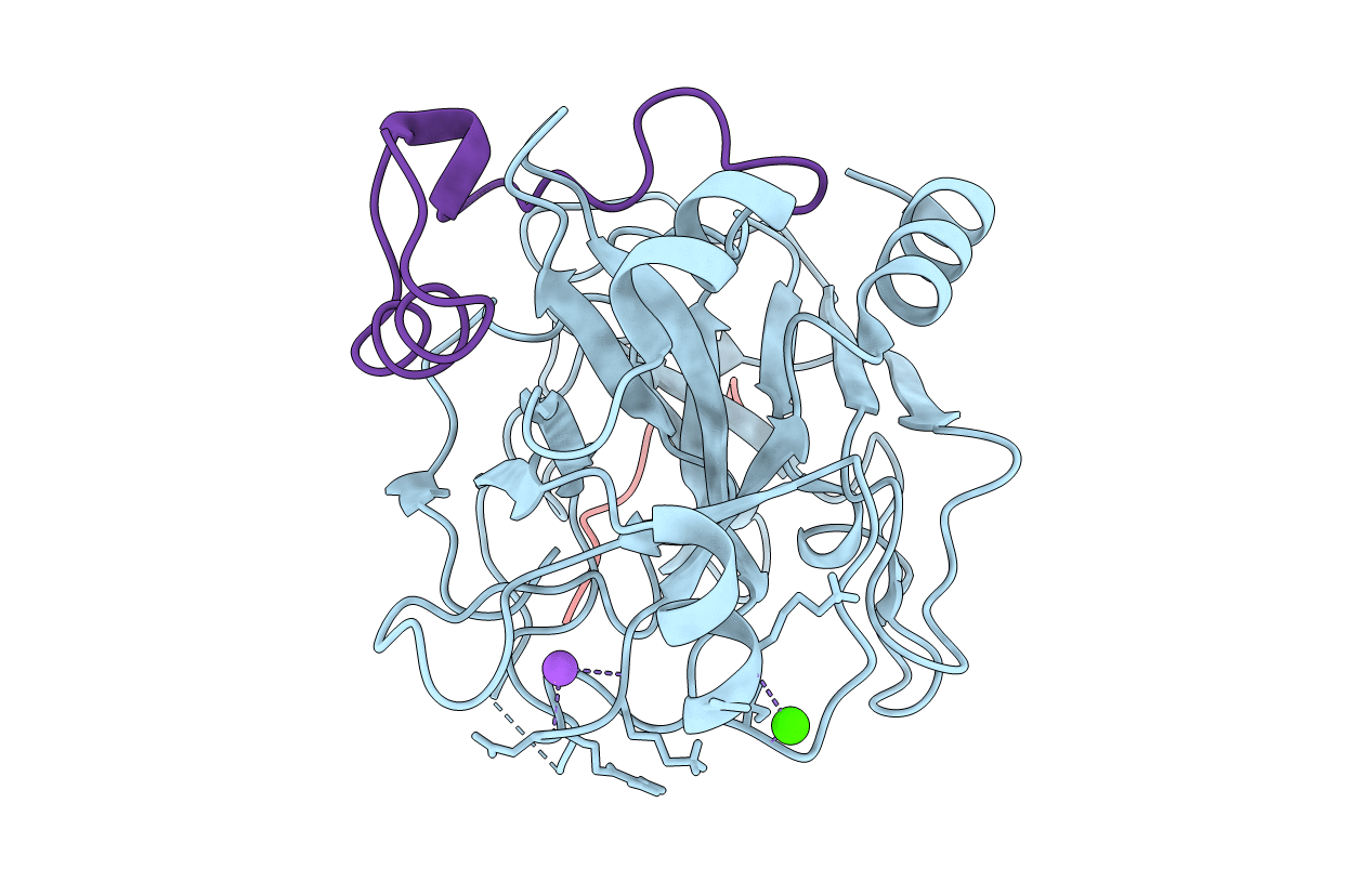 1C5L image