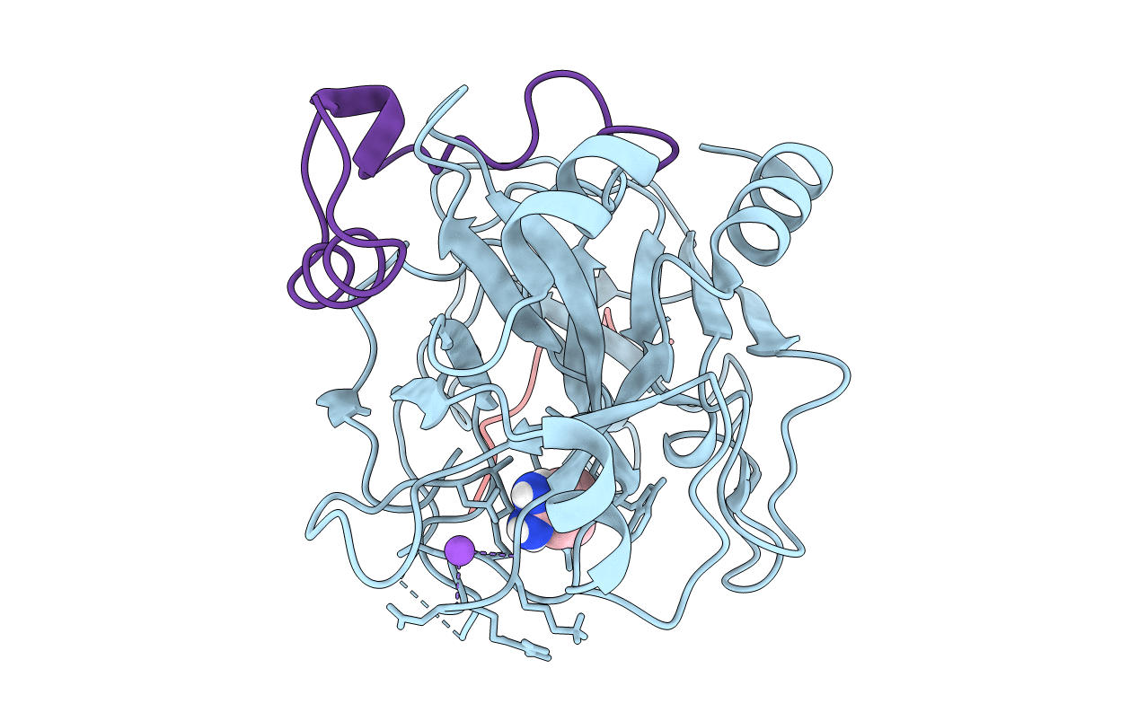 1C5O image