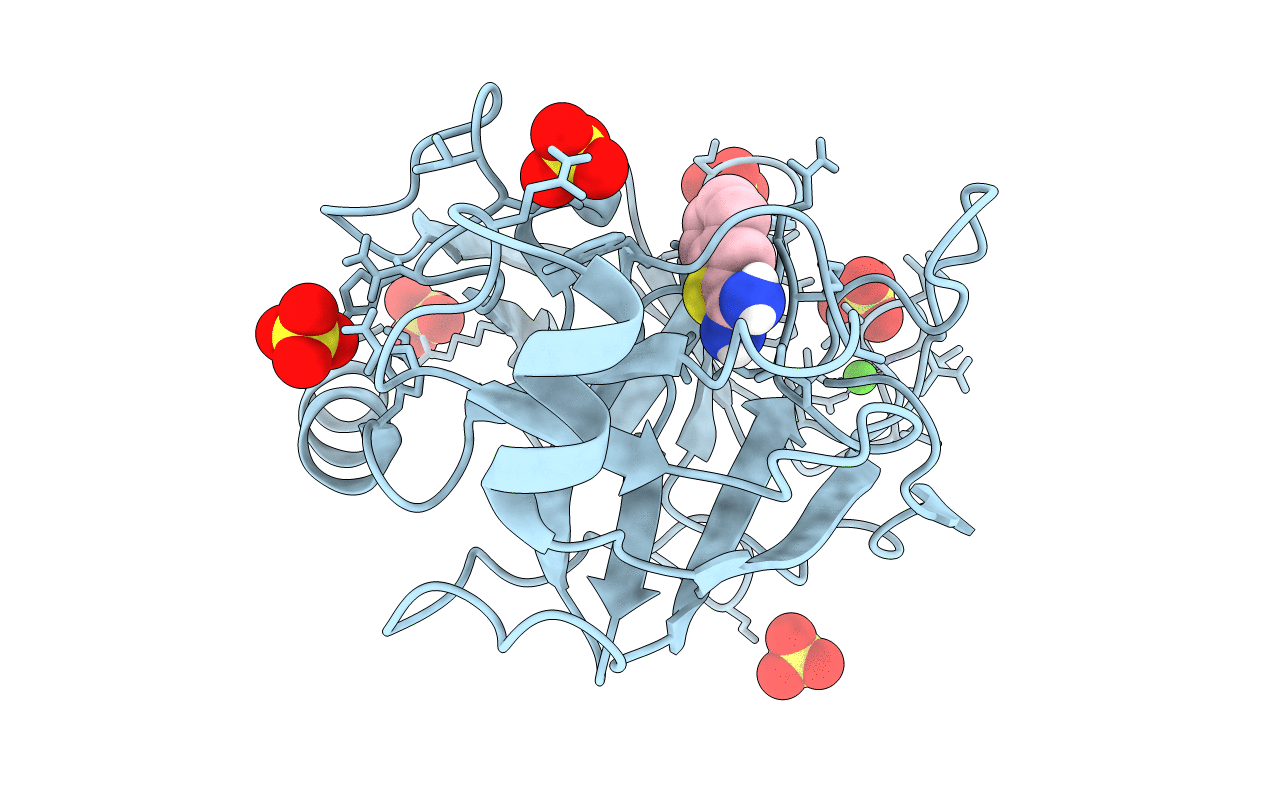 1C5S image