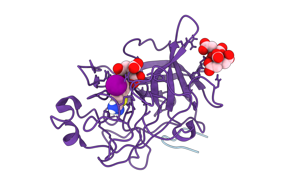 1C5X image
