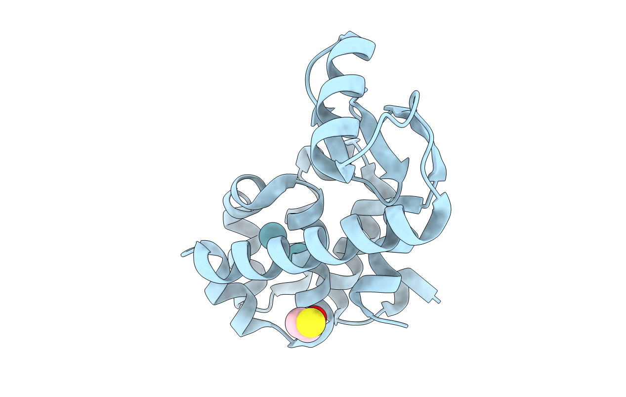 1C62 image