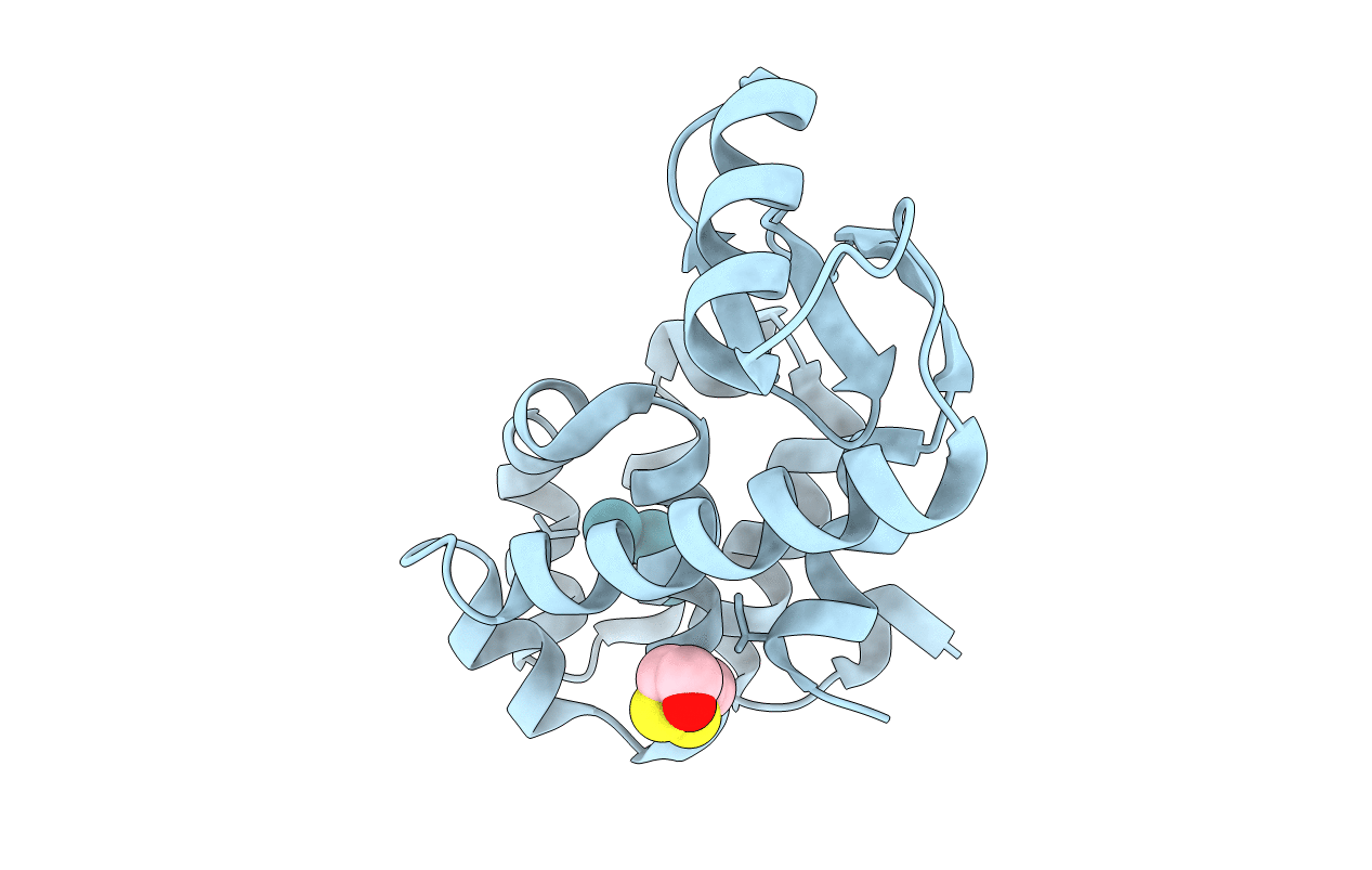 1C68 image