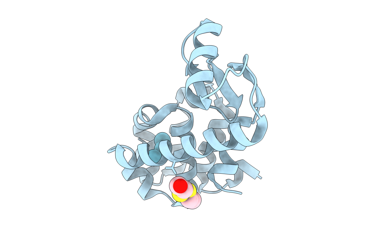 1C6D image