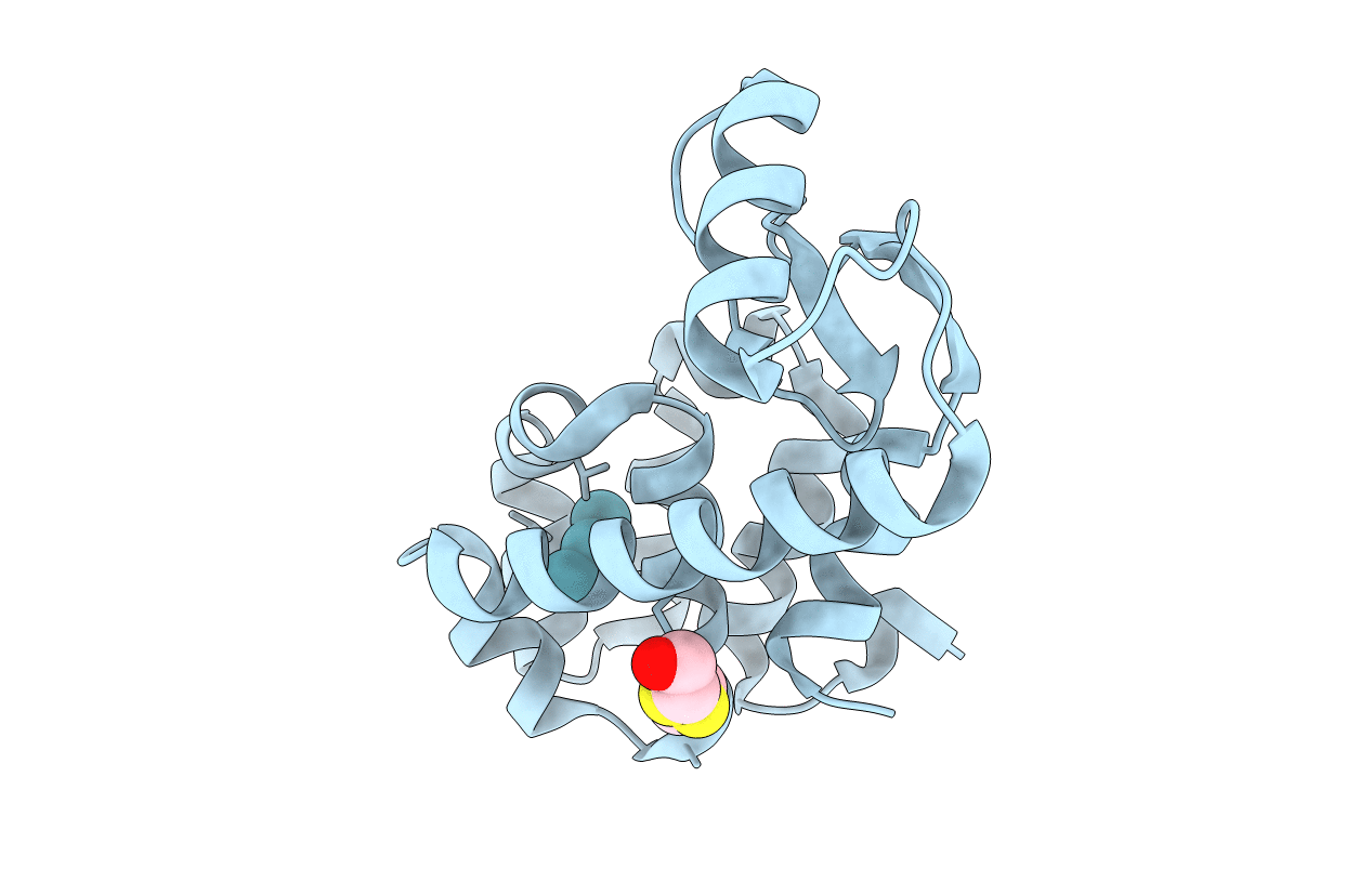 1C6E image