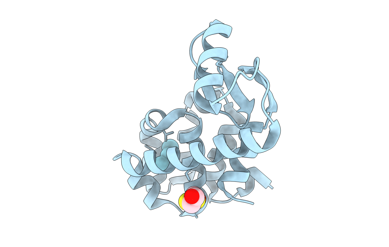 1C6F image