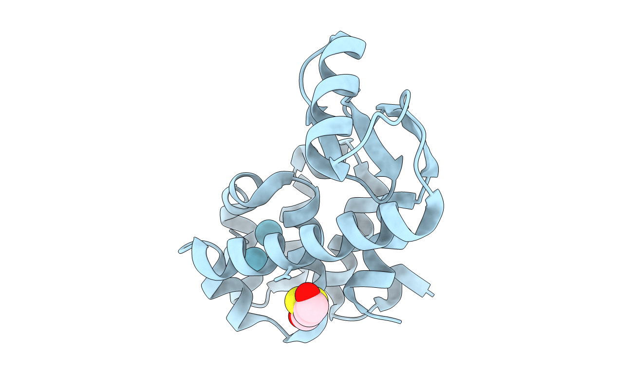 1C6G image