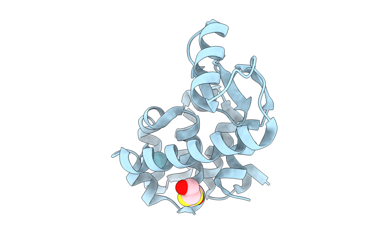 1C6I image