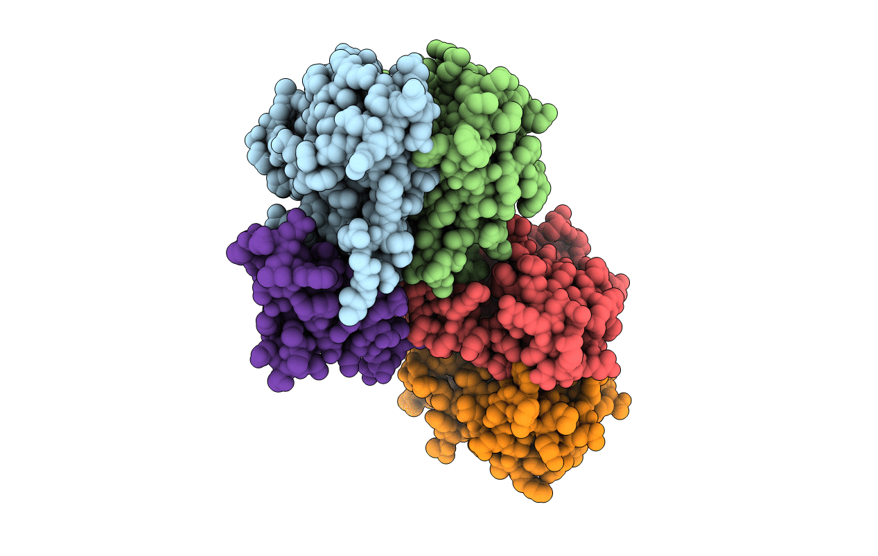 1C6V image