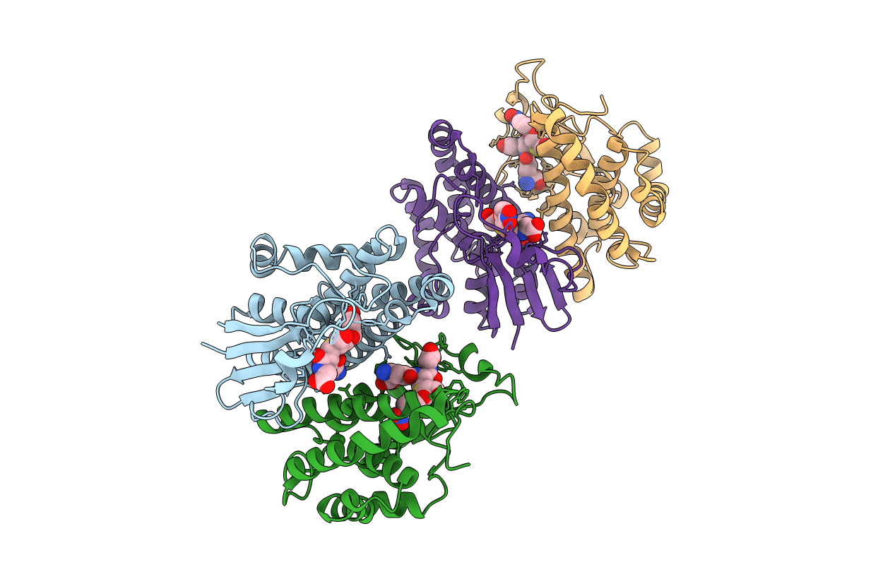 1C72 image