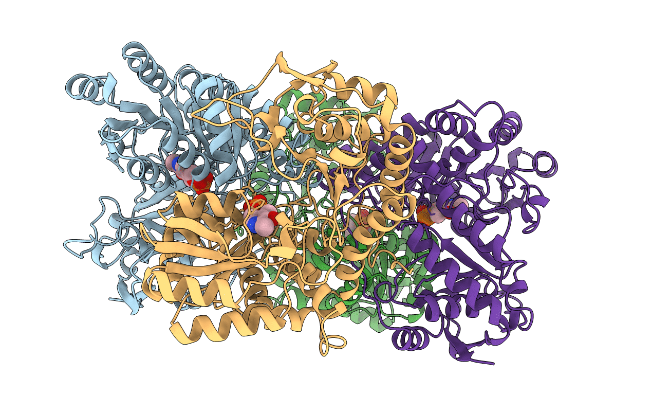1C7G image