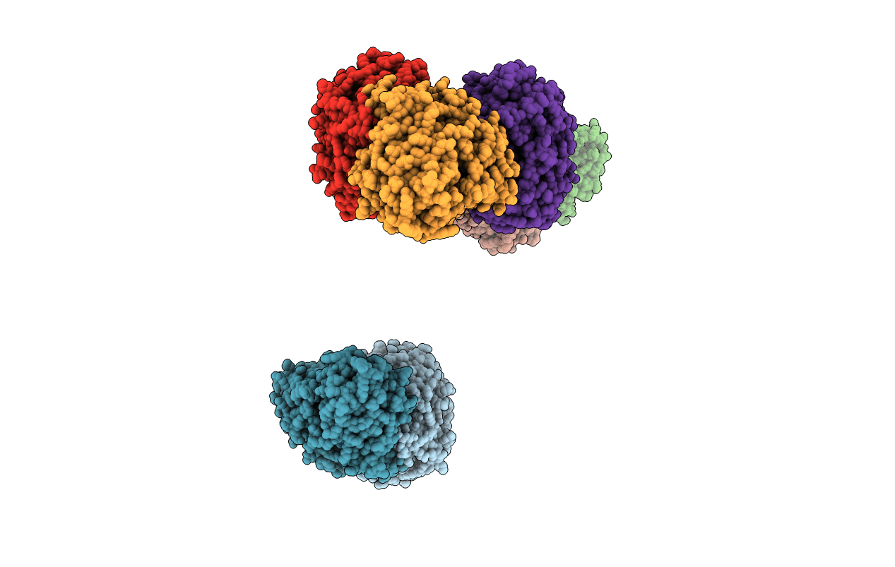 1C7N image
