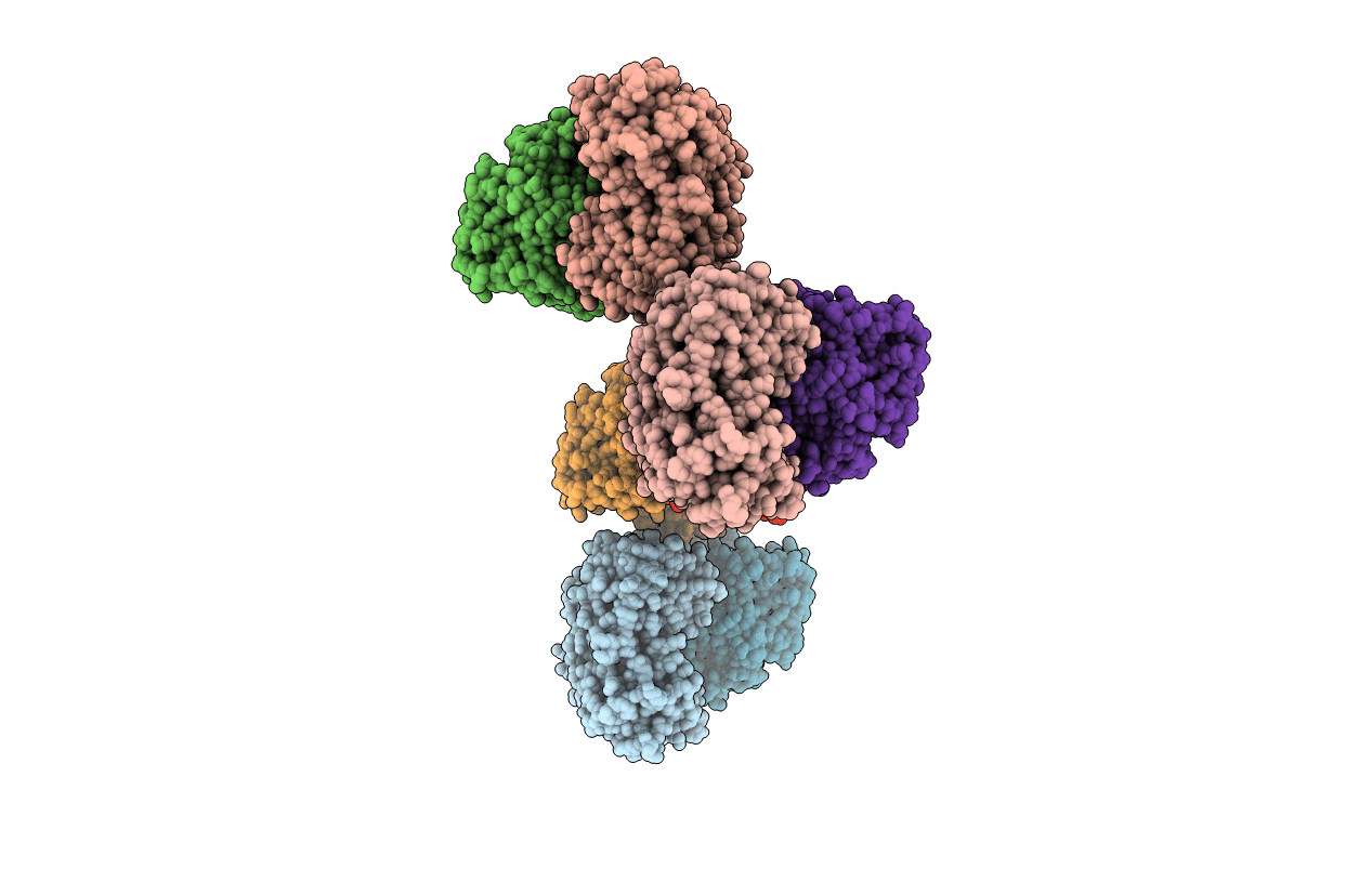 1C7O image