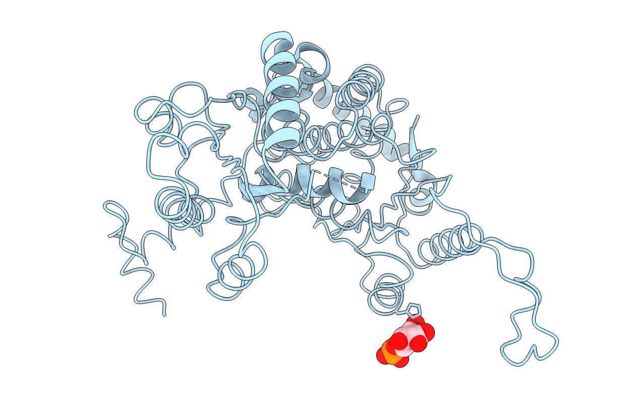 1C7R image