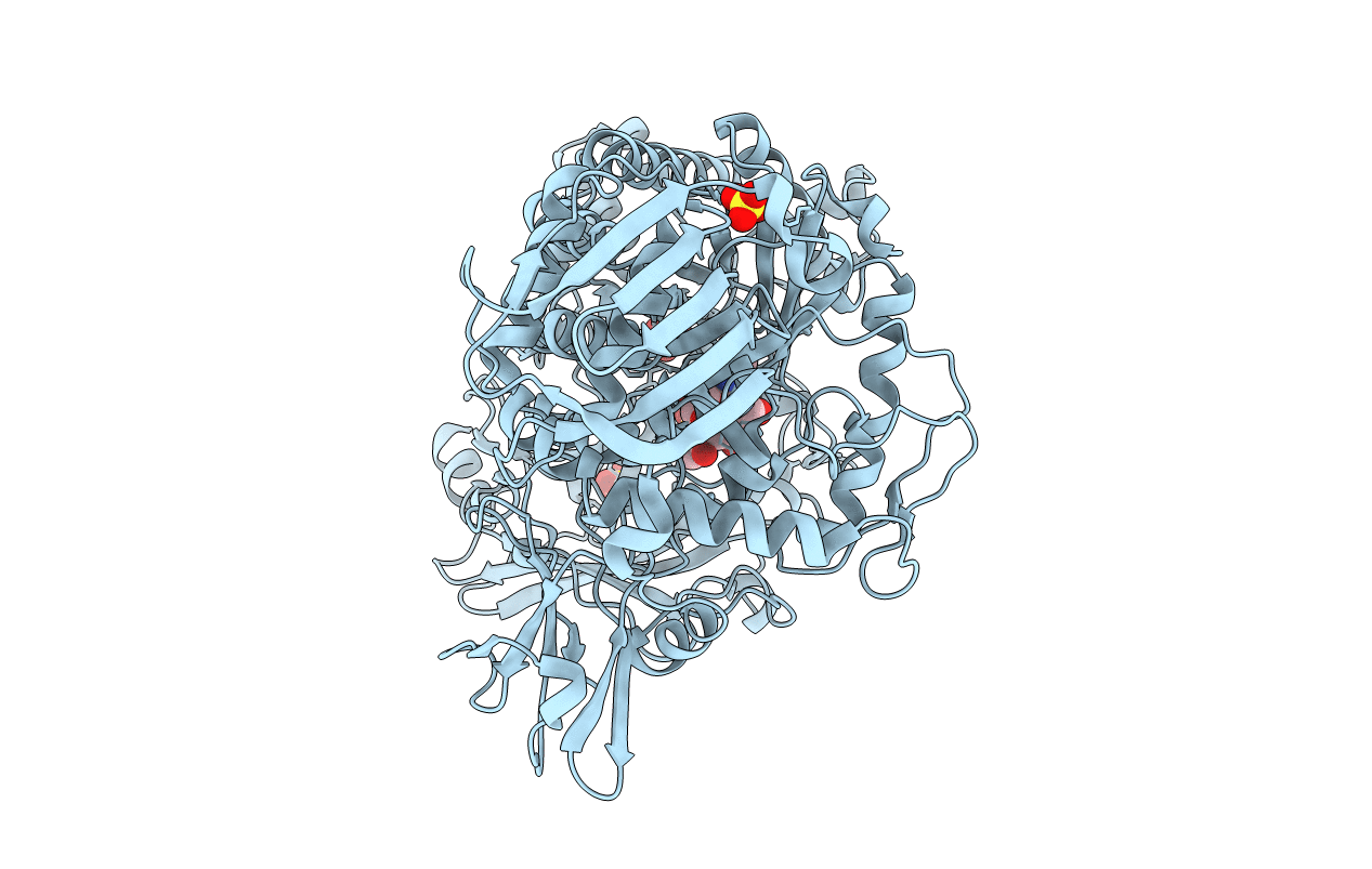 1C7S image