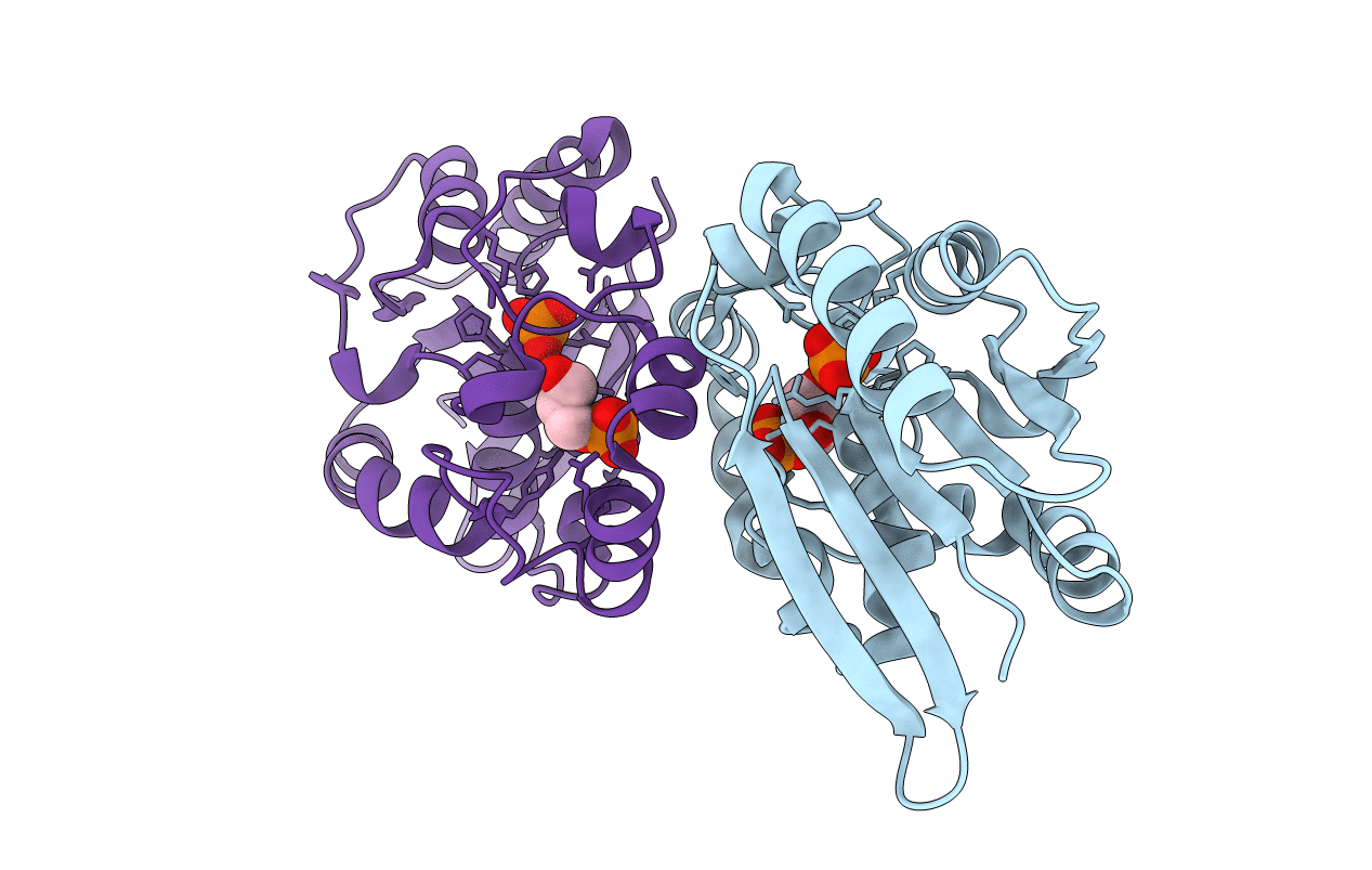 1C7Z image