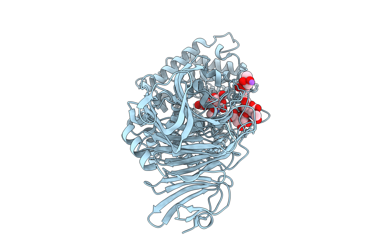 1C82 image