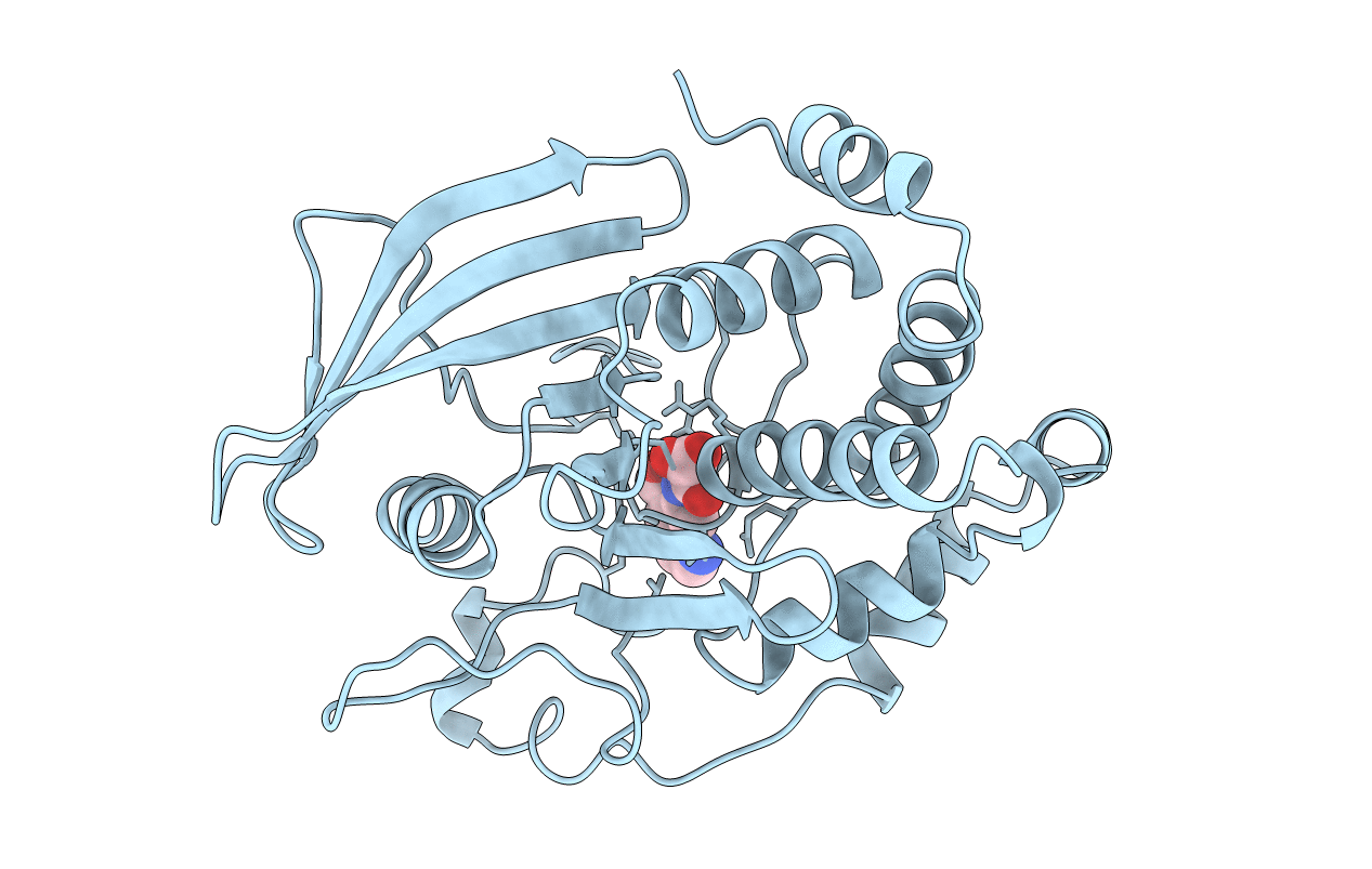 1C83 image